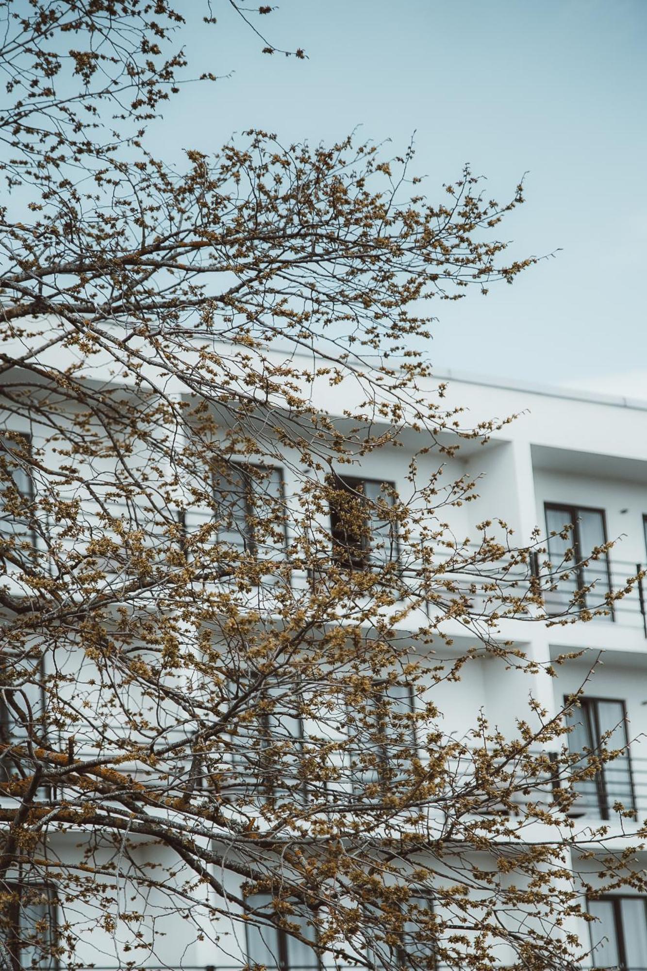 Oe Seaside Suites & Spa Κουρεσάαρε Εξωτερικό φωτογραφία